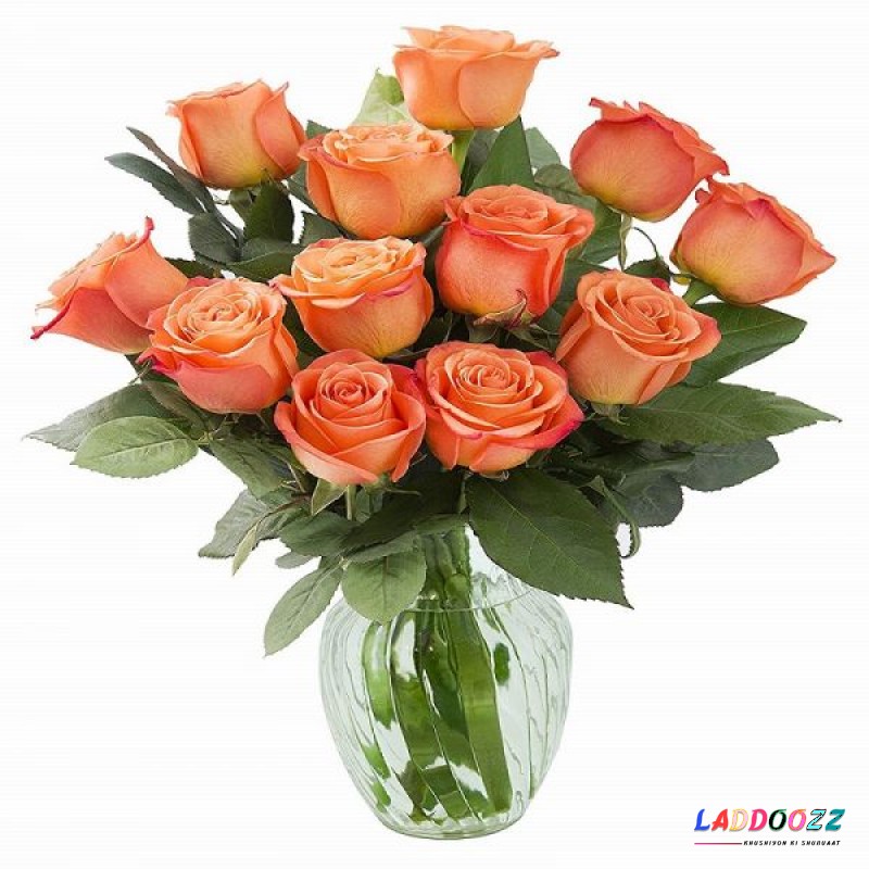 Wonderful Love orange Roses